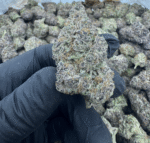 SÚPER BOOF AAA Exotic THCa Flower