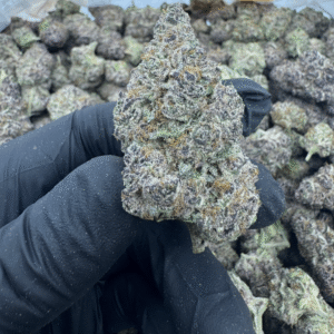 SÚPER BOOF AAA Exotic THCa Flower