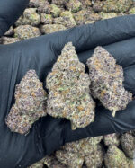 Super Boof THCa Highly Flower Strain