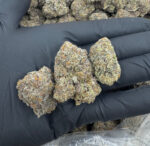 CRÈME BRÛLÉE THCA Highly