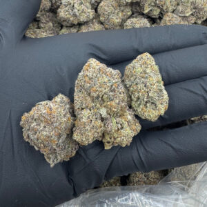 CRÈME BRÛLÉE THCA Highly