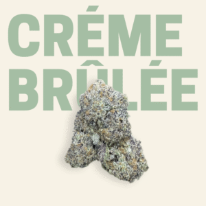 Créme Brûlée THCa Flower