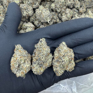 POP ROCKS Highly THCa Flower