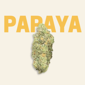 Papaya Premium THCa Flower