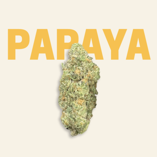 Papaya Premium THCa Flower