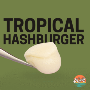 Tropical Hashburger THCa Live Hash Rosin