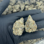 WHITE CHOCOLATE CHIP AAA Exotic THCa Flower Highly