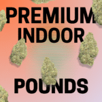 Premium Indoor THCa Flower