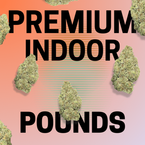 Premium Indoor THCa Flower