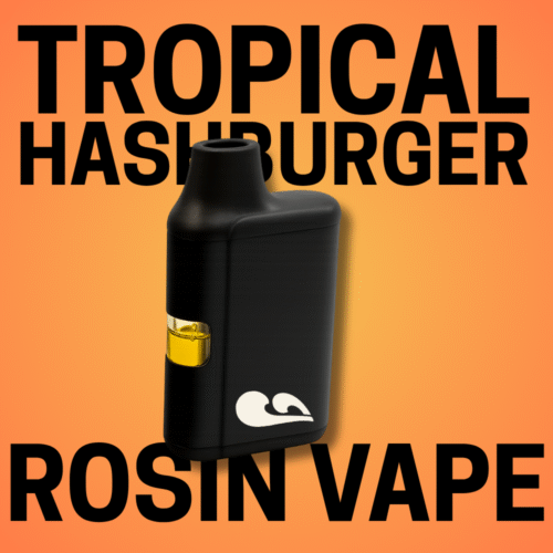 Tropical Hashburger Tropical Hashburger