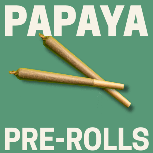 Papaya Pre-Roll Papaya Pre-Roll