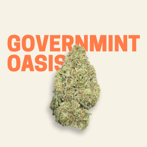 GovernMint Oasis THCa Flower