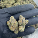 ICC Premium THCa Flower