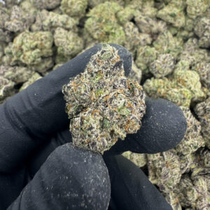 White Zerbet Flower hand