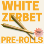 White Zerbet Pre Rolls