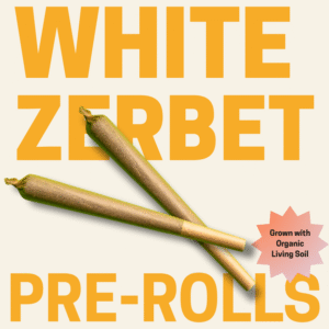 White Zerbet Pre Rolls