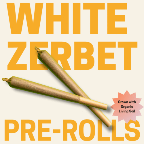 White Zerbet Pre Rolls