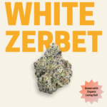 White Zerbet Organic THCA Flower