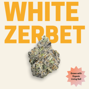White Zerbet Organic THCA Flower