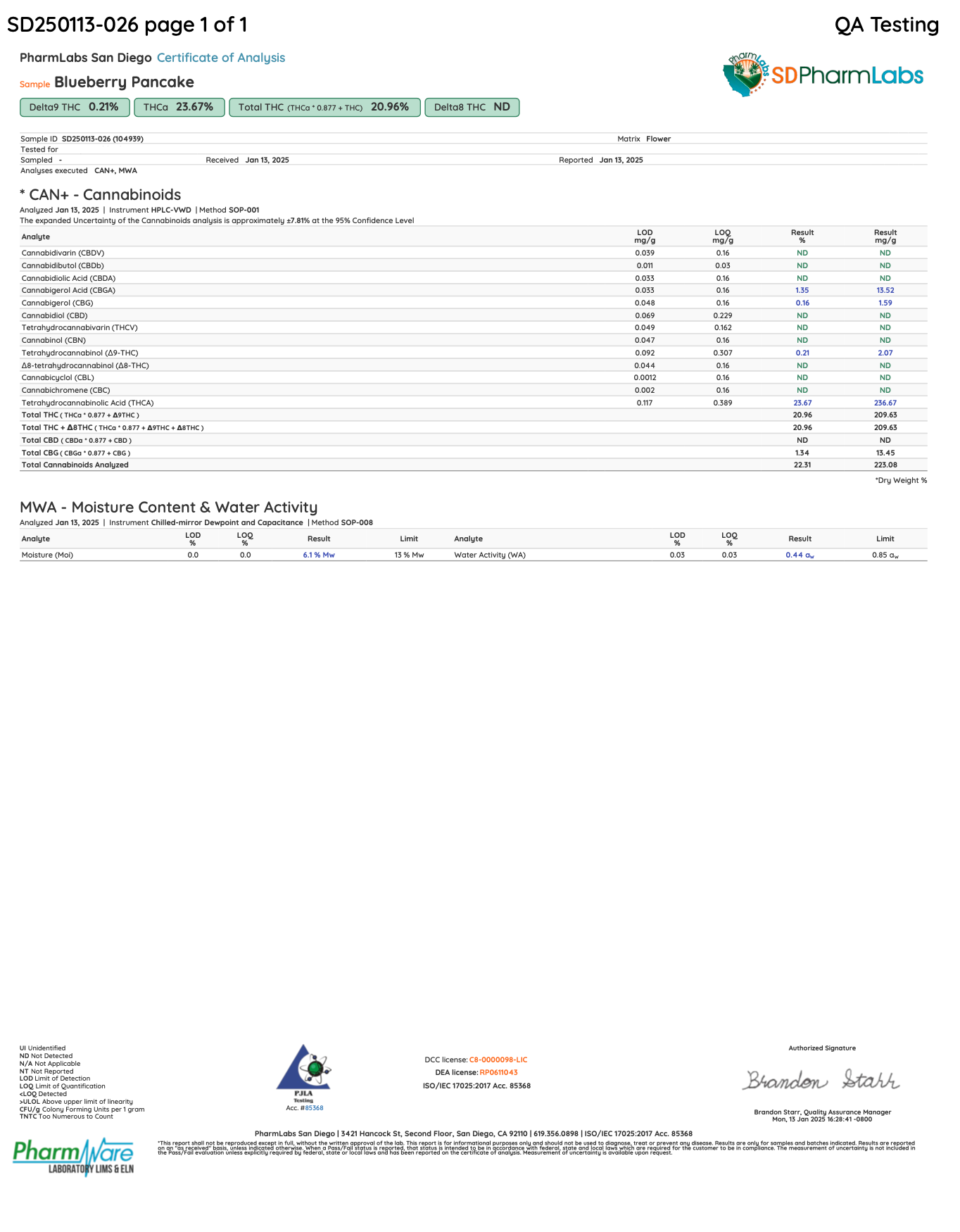 BLUEBERRY PANCAKES THCA FLOWER COA