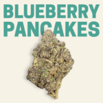 Blueberry Pancakes THCa Flower