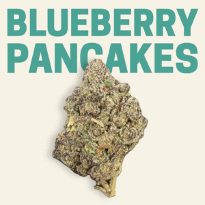 Blueberry Pancakes THCa Flower