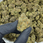 Jet Fuel OG THCa Flower