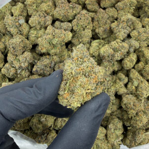 Jet Fuel OG THCa Flower