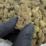 Juicy Fruit THCa Flower Product